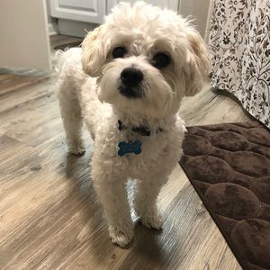 Meet your Posher, Marni